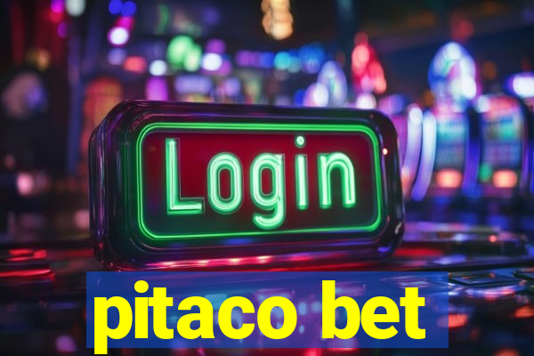 pitaco bet